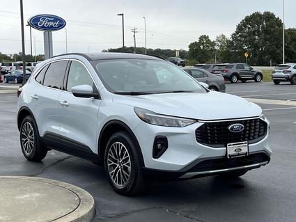 2025 Ford Escape Springfield TN