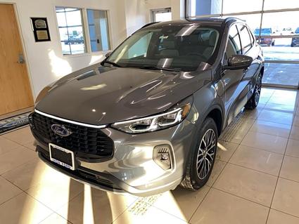 2025 Ford Escape Sparta IL