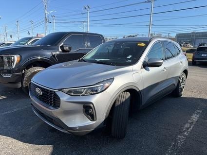 2023 Ford Escape Knoxville TN