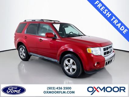 2010 Ford Escape Louisville KY