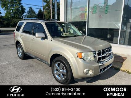 2011 Ford Escape Louisville KY