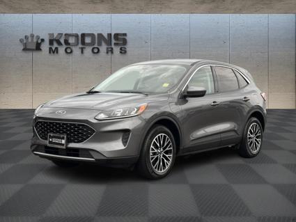 2021 Ford Escape Hybrid  