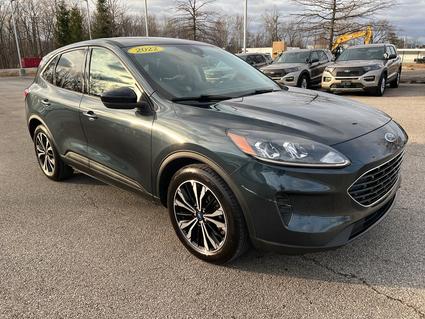 2022 Ford Escape Bloomington IN