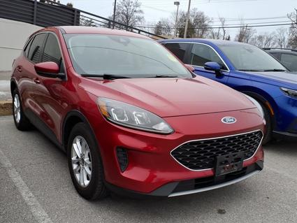 2020 Ford Escape Saint Louis MO