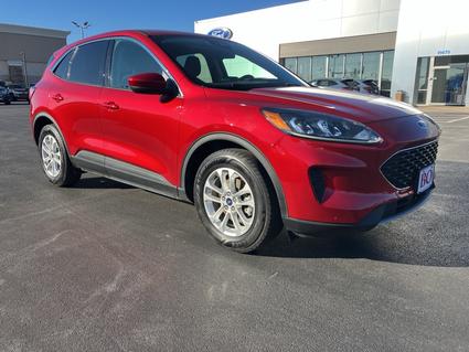 2020 Ford Escape Ellisville MO