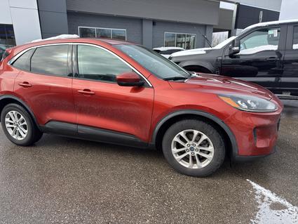 2020 Ford Escape Bloomington IN