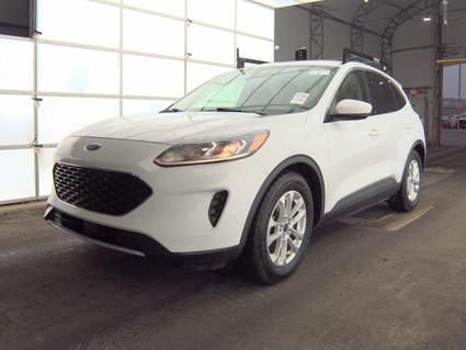 2020 Ford Escape Murfreesboro TN