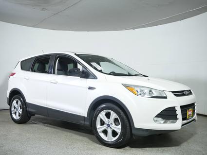 2016 Ford Escape Waite Park MN