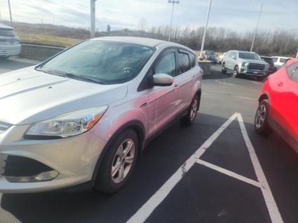 2016 Ford Escape Farmington MO