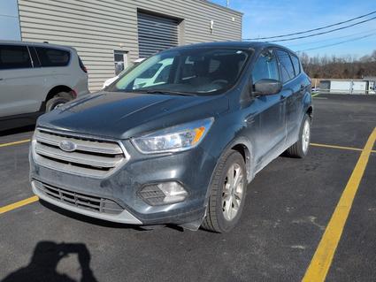 2019 Ford Escape Elizabethtown KY