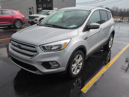 2019 Ford Escape Elizabethtown KY