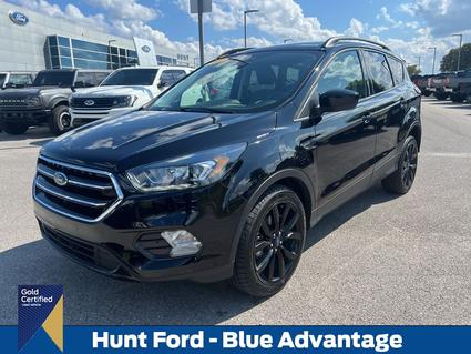 2019 Ford Escape Franklin KY