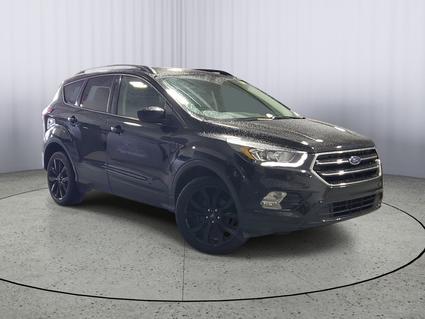 2019 Ford Escape Kalamazoo MI
