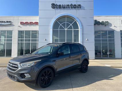 2017 Ford Escape Staunton IL
