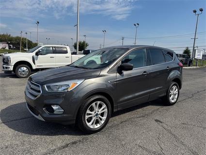 2019 Ford Escape Knoxville TN