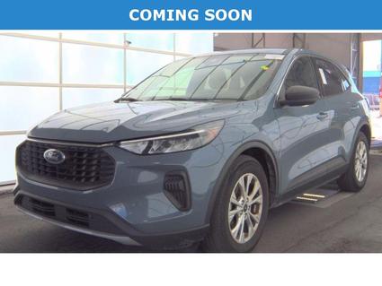 2023 Ford Escape Murfreesboro TN