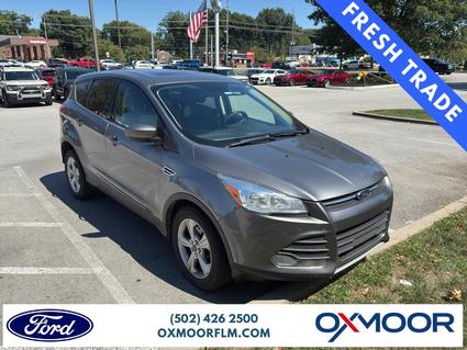 2014 Ford Escape Louisville KY