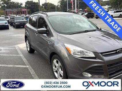 2013 Ford Escape Louisville KY