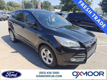 2014 Ford Escape Louisville KY