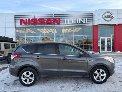 2015 Ford Escape Champaign IL
