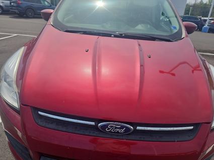 2016 Ford Escape Johnson City TN