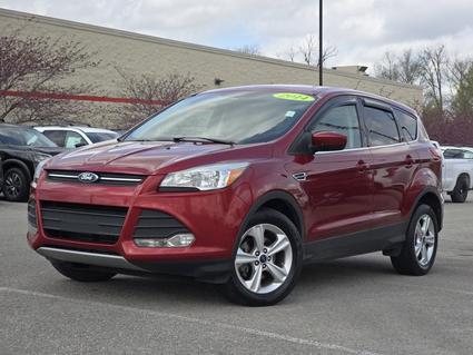 2014 Ford Escape Hopkinsville KY