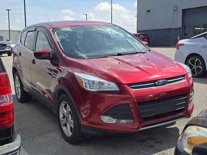 2014 Ford Escape Hopkinsville KY