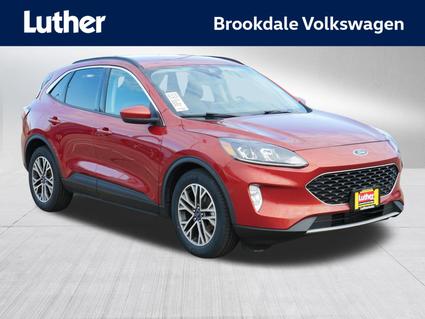 2020 Ford Escape Minneapolis MN