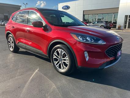 2021 Ford Escape Ellisville MO