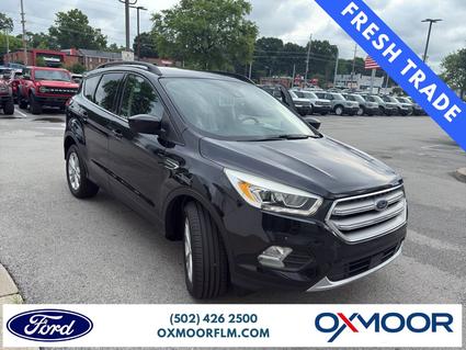 2019 Ford Escape Louisville KY