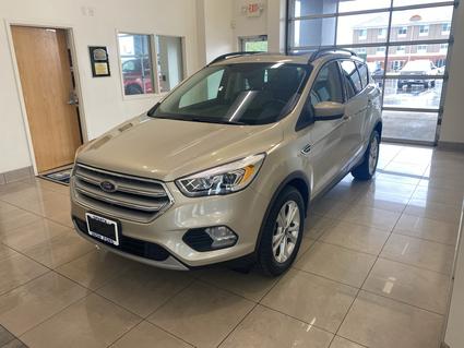 2018 Ford Escape Sparta IL