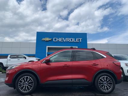 2022 Ford Escape Hybrid Jefferson City TN