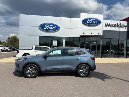 2025 Ford Escape Martin TN