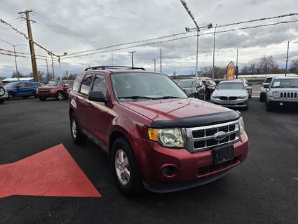 2009 Ford Escape Billings MT
