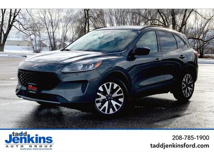 2020 Ford Escape Hybrid Blackfoot ID