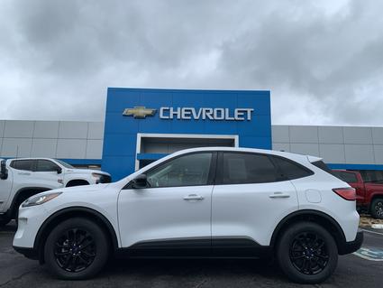 2020 Ford Escape Hybrid Jefferson City TN