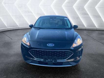 2021 Ford Escape Hybrid Tuscumbia AL