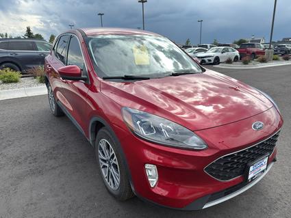 2022 Ford Escape Hybrid Bozeman MT