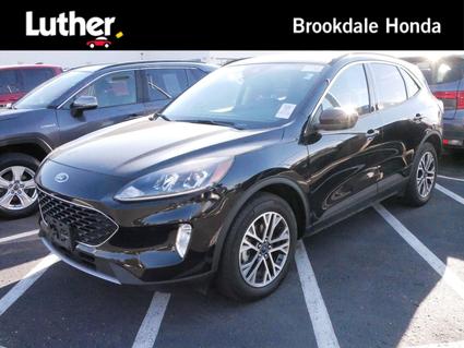 2021 Ford Escape Hybrid Minneapolis MN