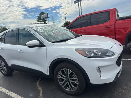 2022 Ford Escape Hybrid Memphis TN