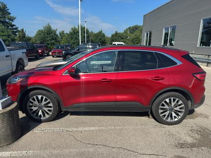 2020 Ford Escape Hybrid Bloomington IN