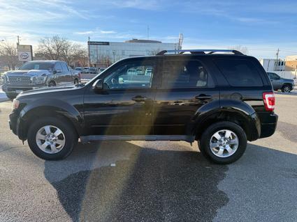 2010 Ford Escape Casper WY
