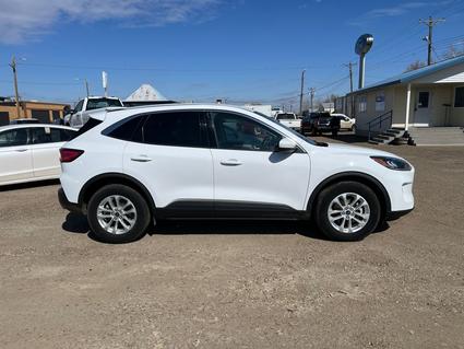 2020 Ford Escape Sidney MT