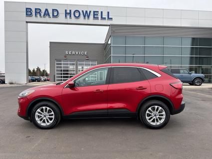 2020 Ford Escape Kokomo IN