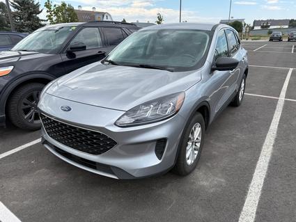 2022 Ford Escape Bozeman MT