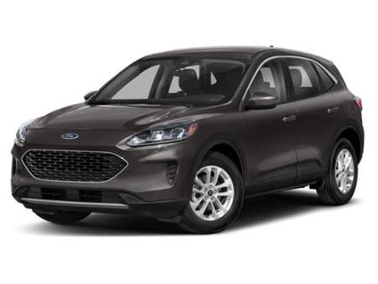 2021 Ford Escape Minneapolis MN