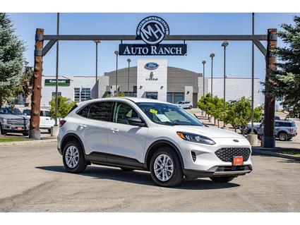 2022 Ford Escape Mountain Home ID