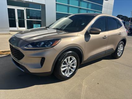 2020 Ford Escape Columbus MS