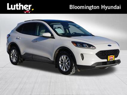 2020 Ford Escape Minneapolis MN