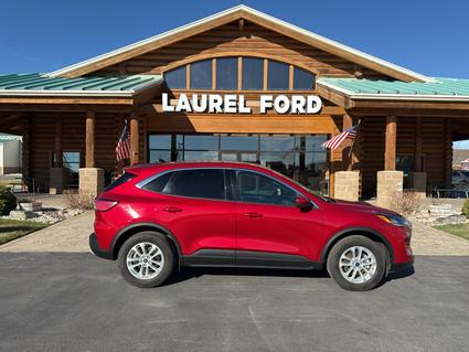 2020 Ford Escape Laurel MT